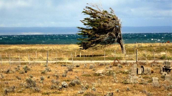 Desde Magallanes inédito proyecto de conservación y restauración de suelos contribuirá a mitigar el cambio climático